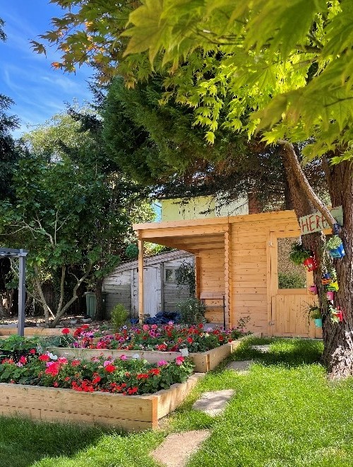 garden shed and border