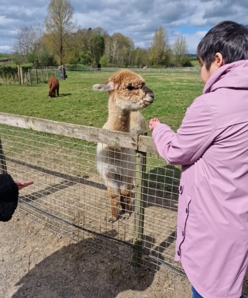 Petting zoo visit
