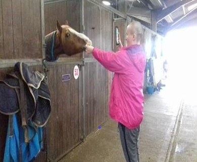 person with a horse