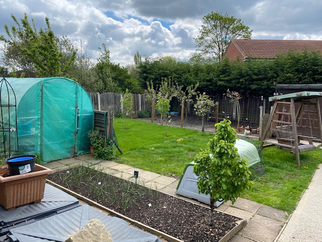 Veg patch and poly tunnel